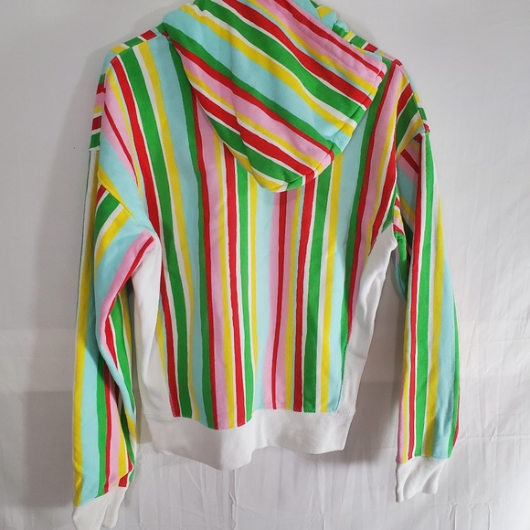 Champion Sweater Women's Medium Susan Alexandra Watermelon Reverse Weave Hoodie. - Picture 5 of 6